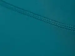 Danskin naisten treenishortsit DPS2608A - Shaded Spruce - 5