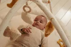 Leikkimatto kaarilla Newborn GRS - 6