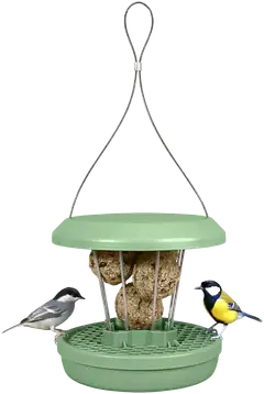 Swissinno Lintulauta Zurich talipalloille - 4