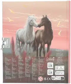 Miss Melody päiväkirja - 3