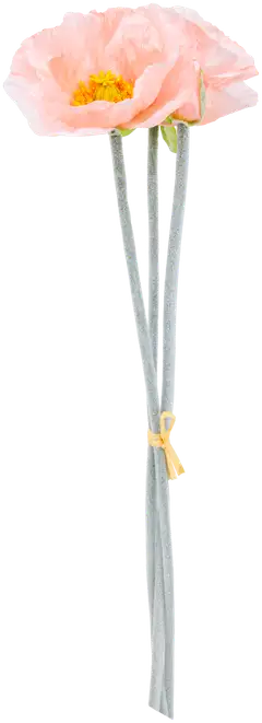 Teko-oksa, erilaisia - 1