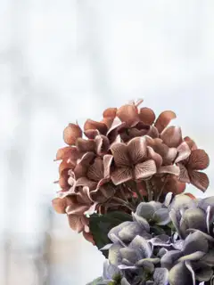 Tekokukka Bloom Deco  Hortensia Oksa - 3