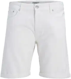 JJ REBEL miesten shortsit Jrebricky - WHITE - 1