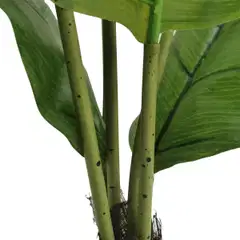 Lykke tekokasvi peace lily 105cm - 3