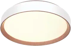 FocusLight Primus kattovalaisin halk:39cm, 36W, Valkoinen, sis.kaukosäädin, koukkukiinnitys ja sisältää pistotulpan, IP20 - 1