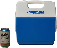 Igloo kylmälaukku Playmate Pal 6 l sinivalkoinen - 10