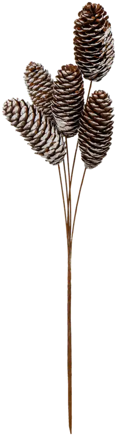 Koristeoksa 45 cm, erilaisia - 1