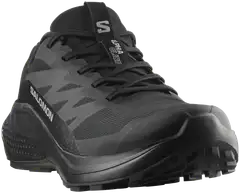 Salomon miesten maastojuoksukengät Alphaglide GTX - Black/Asphalt/Black - 2
