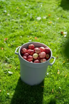 Orthex saavi 30 L - 8