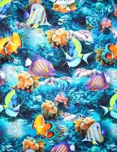 POP&Co lasten t-paita allen fish - 334 - 2