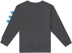 Ciraf lasten collegepusero Dino 25pc260215 - 19-4209tcx enigma - 2