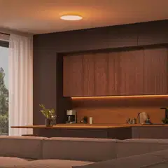 Philips Hue Datura -kattopaneeli 48W 2000-6500K 3300LM pieni - 6