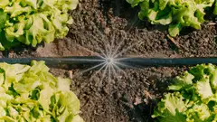 Gardena Micro-Drip-kastelusarja istutusalueelle - 6