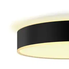 Philips Hue Enrave -kattovalaisin 10W 2200-6500K 1220LM pieni musta - 3