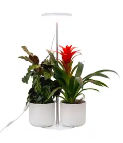 Airam Ivy kasvivalo 14W/835 650lm - 5