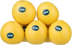 Coop greippi White