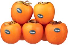Coop Persimon