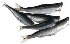 Chipsters muikku perattu