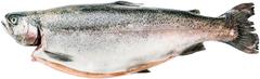 KalaValtanen suomalainen kirjolohi