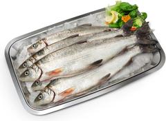 Finnish Freshfish Siika 2 villi
