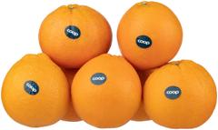Coop appelsiini Navel