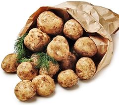 Kuokalla nostettu kesäperuna Suomi