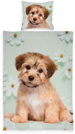 Lasten pussilakanasetti Doggy 150x210+50x60 cm