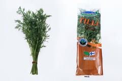 Fresh Tilli nippu/pss FI
