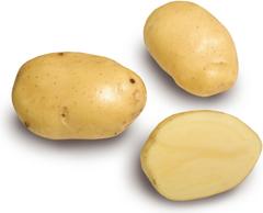 Siemenperuna Siikli 2,5 kg