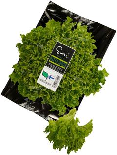Sorri 150g vihreä makea frisee