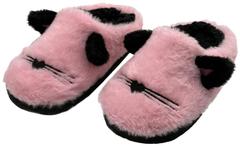 House lasten tossu Kitten
