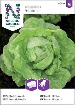 Nelson Garden siemen salaatti, kerä-, Hilde II, kylvönauha
