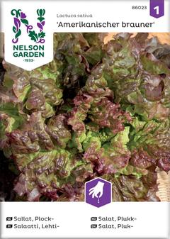 Nelson Garden siemen salaatti, lehti-, Amerikkalainen