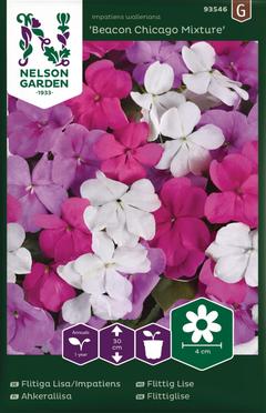 Nelson Garden Premium ahkeraliisa, Beacon Chicago Mix F1