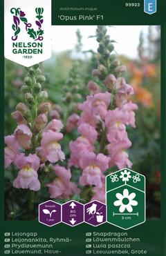 Nelson Garden siemen leijonankita, Opus Pink F1