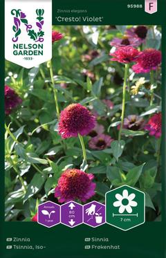 Nelson Garden siemen krassiversot, Cresso