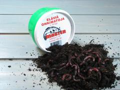 Master elävä onkimato n. 45g/prk