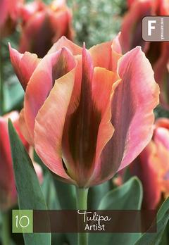 Tulppaani Artist Z11-12, 10kpl