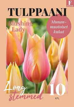 Tulppaani, Tulipa Blushing Lady 11/12, 10kpl