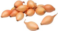 ISTUKASSIPULI STURON 21-24 MM, 500G PAKK
