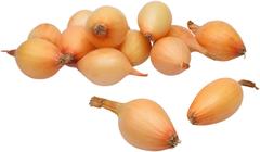 ISTUKASSIPULI STURON 21-24MM, 1 KG PAKK