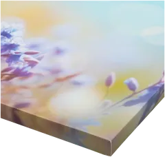 Canvastaulu Kedon perhonen 30x40 cm - 2