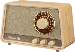 Sangean pöytäradio Bluetooth yhteydellä WR-101, vaalea tammi - 1