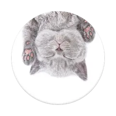 Popsockets Cat Nap älylaitteen pidike - 2