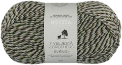 Novita 7 Veljestä Svengi 100g 8231 karuselli - 1