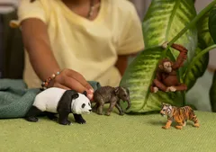 Schleich Wild Life "Aasia" setti - 5