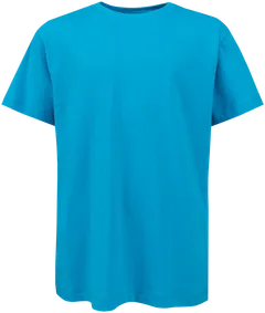 House nuorten t-paita 23PH032408, oversize - Blue - 1