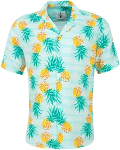 iJeans miesten havaijipaita Pineapple - Blue AOP print - 1