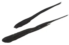 GOSH Eye Liner Pen silmänrajausväri 2,5g - BLACK - 3