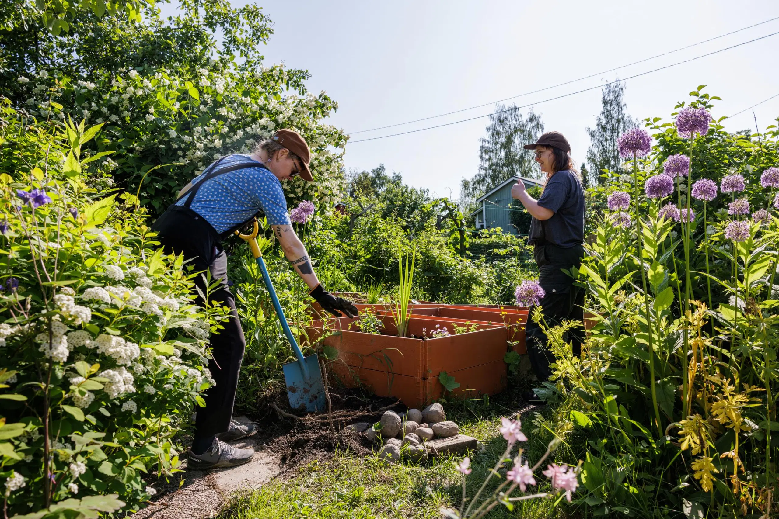 Sanni Seppä ja Eeva Naskali kuvattuna puutarhassa viljelylaatikoiden äärellä.